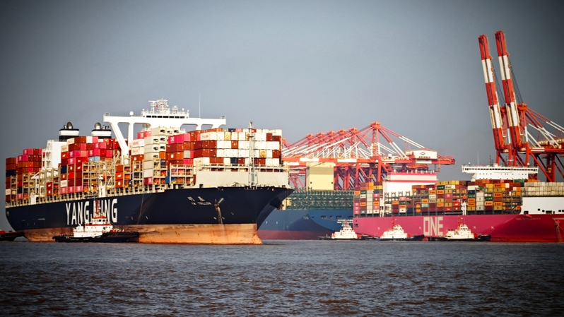 上海港内贸海运新年开门红，一月集装箱吞吐量超175万标准箱