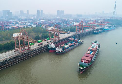 PP电子·5金狮(中国区)游戏官方网站