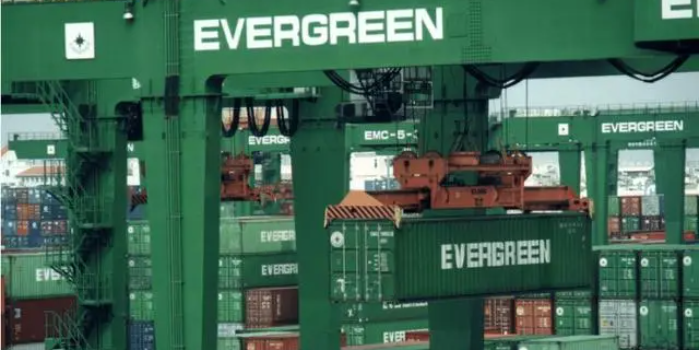 PP电子·5金狮(中国区)游戏官方网站