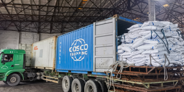 PP电子·5金狮(中国区)游戏官方网站