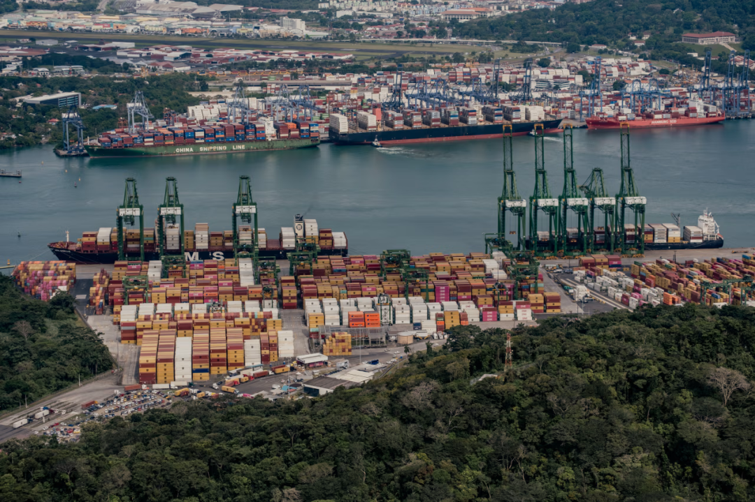 PP电子·5金狮(中国区)游戏官方网站